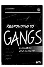 Book cover - Responding to Gangs: Evaluation and Research
