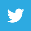 blue Twitter logo