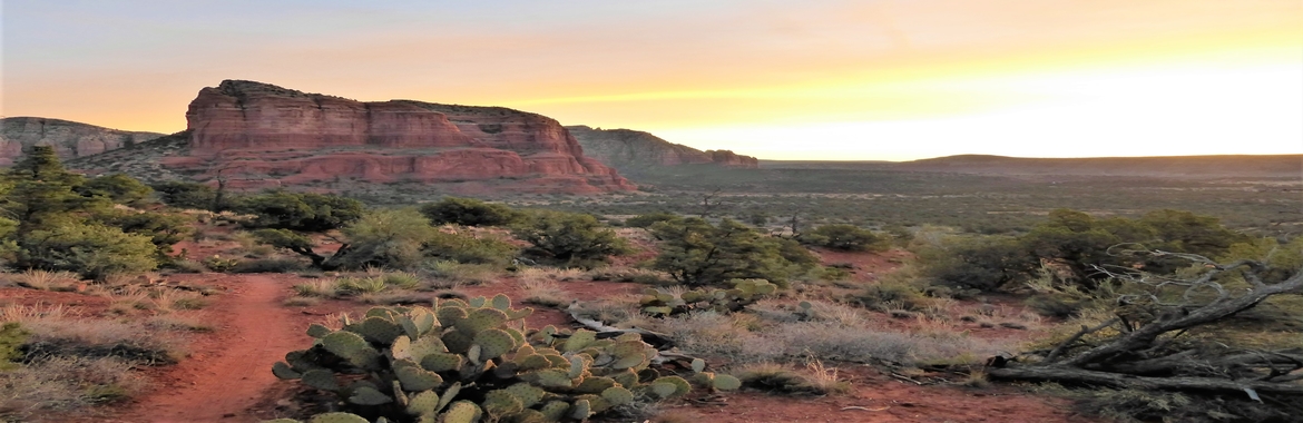 Desert sunset with mountains and cacti